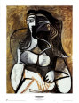 Woman in an Armchair Picasso